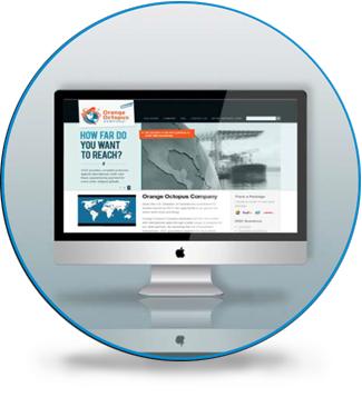 custom web development company Clarity