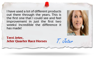 Clarity eCommerce client testimonials